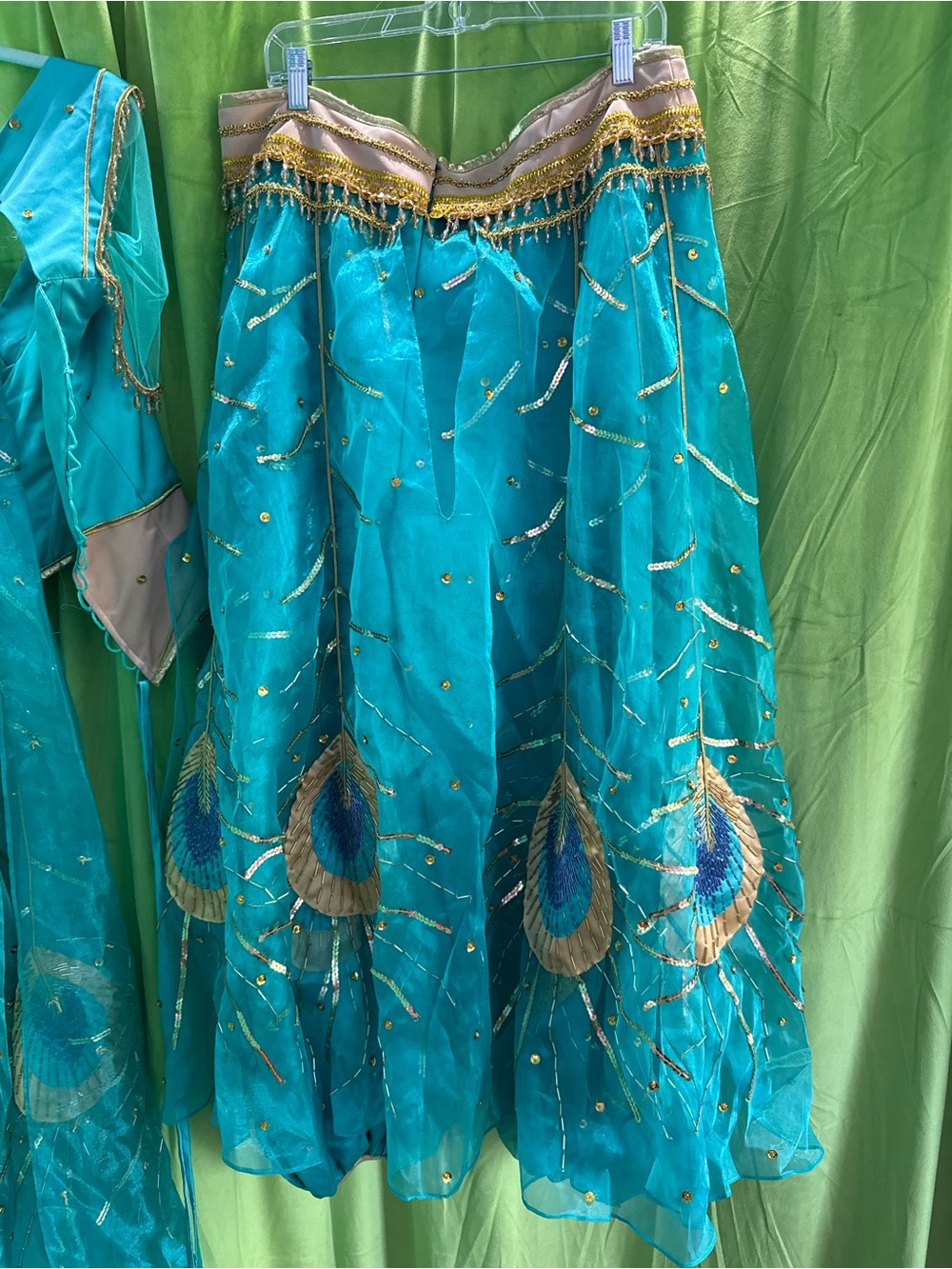 Jasmine Cosplay Costume Live Action by Molly Nguyen - Picture 13 of 16